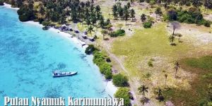 Pulau Nyamuk Karimunjawa