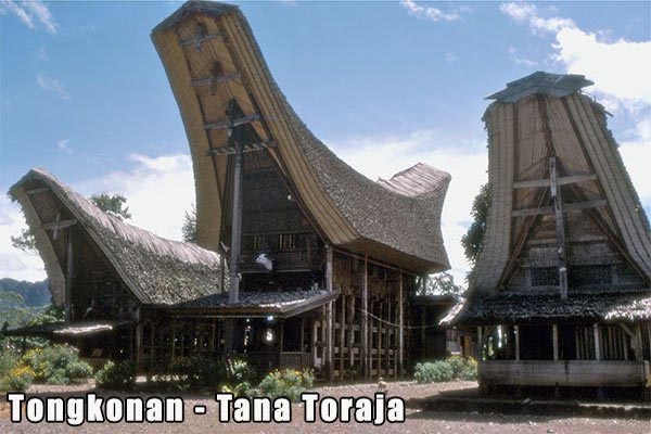 Rumah Adat Masyarakat Toraja Tongkonan