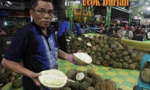 ucok durian