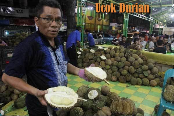 Nikmatnya Durian Bang Ucok Medan