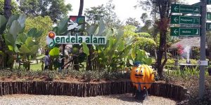 Jendela Alam Bandung Kids Outbound