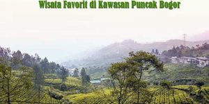 Wisata Favorit di Kawasan Puncak Bogor