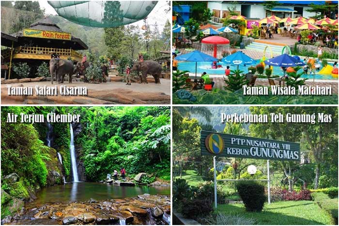 Tempat Wisata Favorit di Kawasan Puncak Bogor