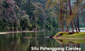 Wisata Situ Patenggang Ciwidey Bandung