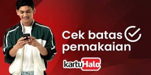 Cek Batas Pemakaian KartuHalo Telkomsel