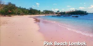 Keunikan Pink Beach di Lombok (Tangsi)