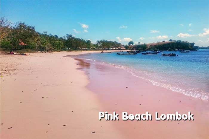Keunikan Pink Beach di Lombok (Tangsi)