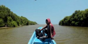 Taman Mangrove Morosari Demak