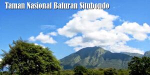 Taman Nasional Baluran Situbondo