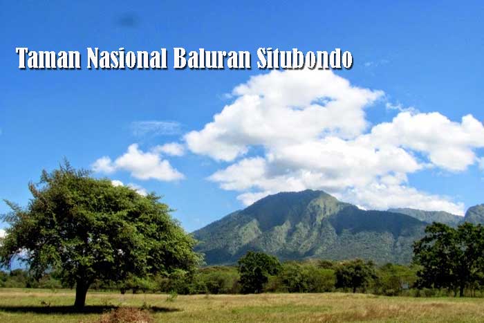 Taman Nasional Baluran Situbondo