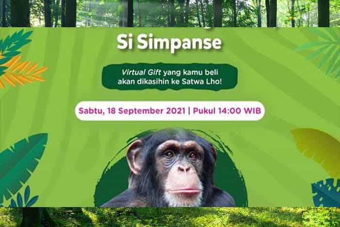 Isaac Simpanse Taman Wisata Prigen