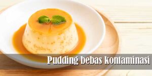 Pudding bebas kontaminasi