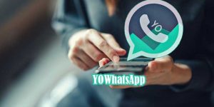 yowhatsapp mod apk