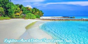 keajaiban alam di karimun jawa