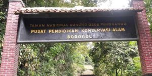 bodogol bogor