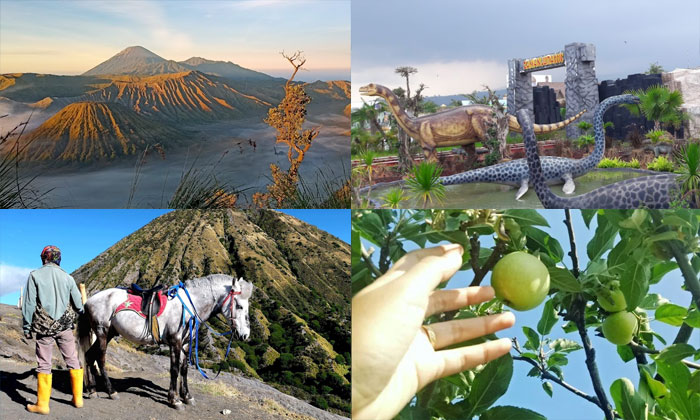 wisata di bromo dan malang