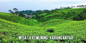 wisata kemuning karanganyar