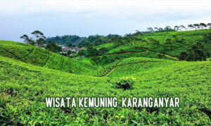 wisata kemuning karanganyar