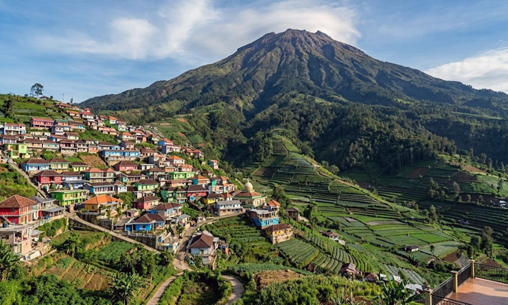 Nepal Van Java